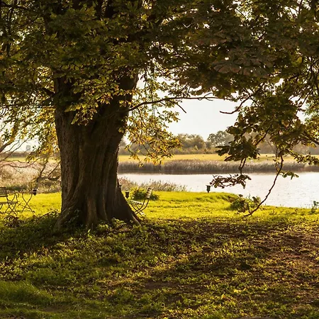 펜션 Relaxation In Historic Manor On Ruegen *