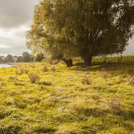 펜션 Relaxation In Historic Manor On Ruegen *