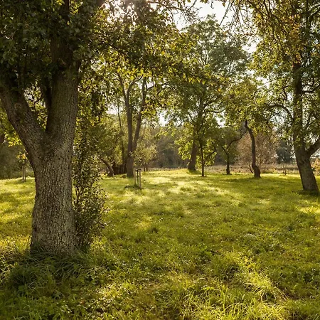 펜션 Relaxation In Historic Manor On Ruegen 포세리츠