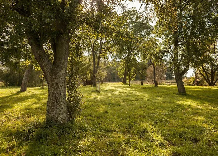 Tatil Evi Relaxation In Historic Manor On Ruegen Poseritz